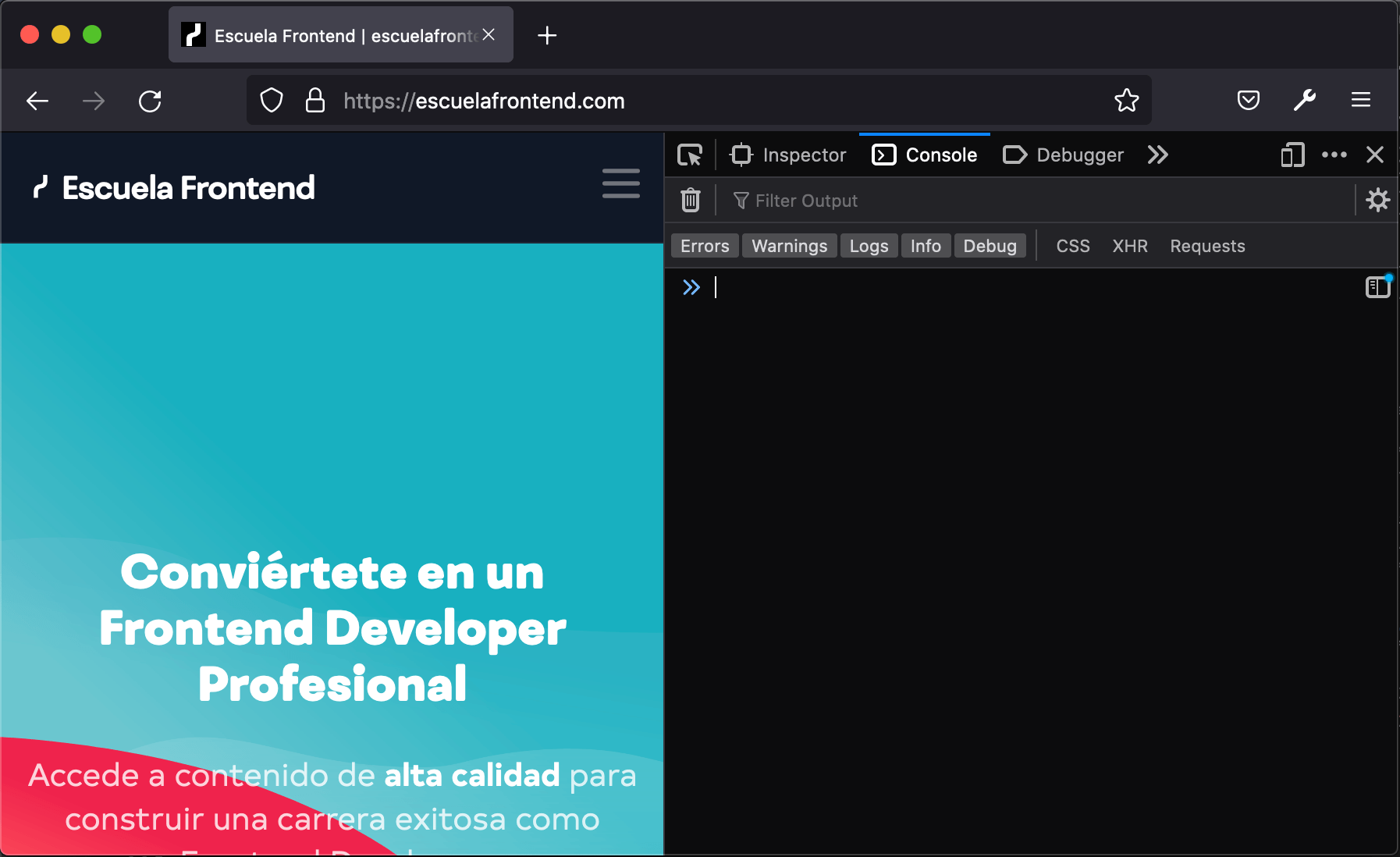 La Guía Definitiva de Consola API